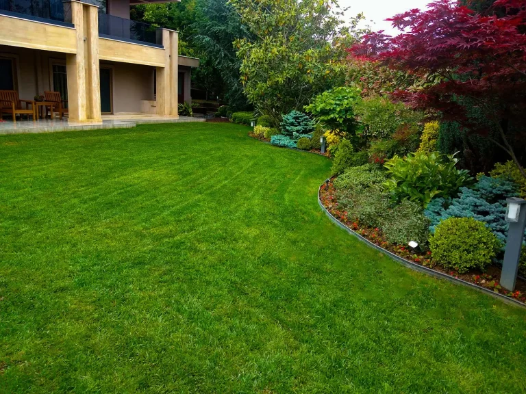 Acerkent Villaları-5