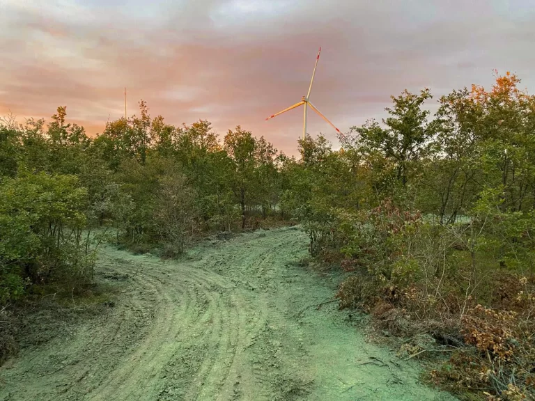 Bitkisel Uygulamalar-2