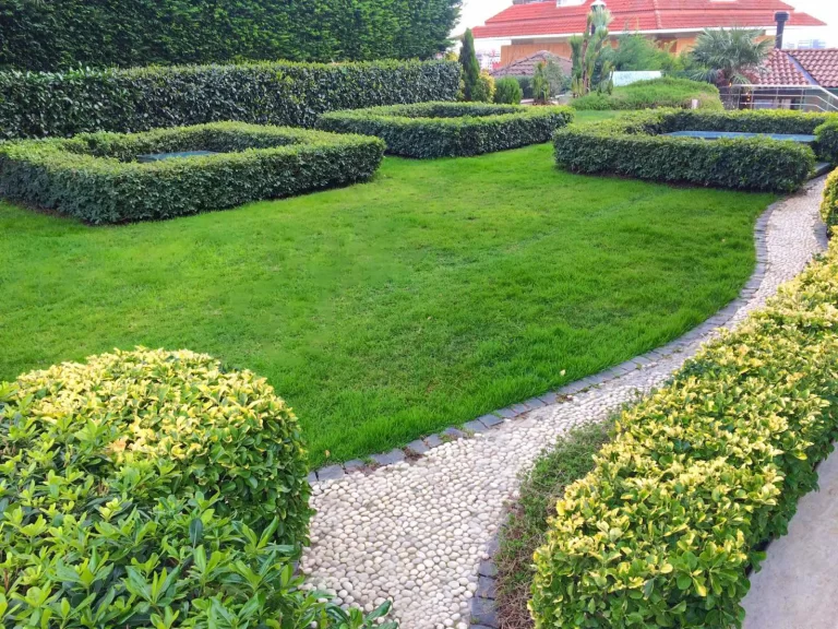 Bitkisel Uygulamalar-3