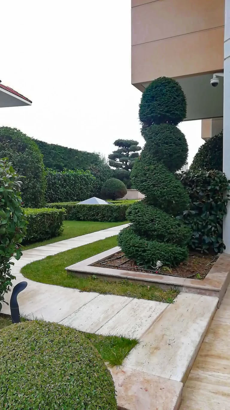 Bitkisel Uygulamalar-4