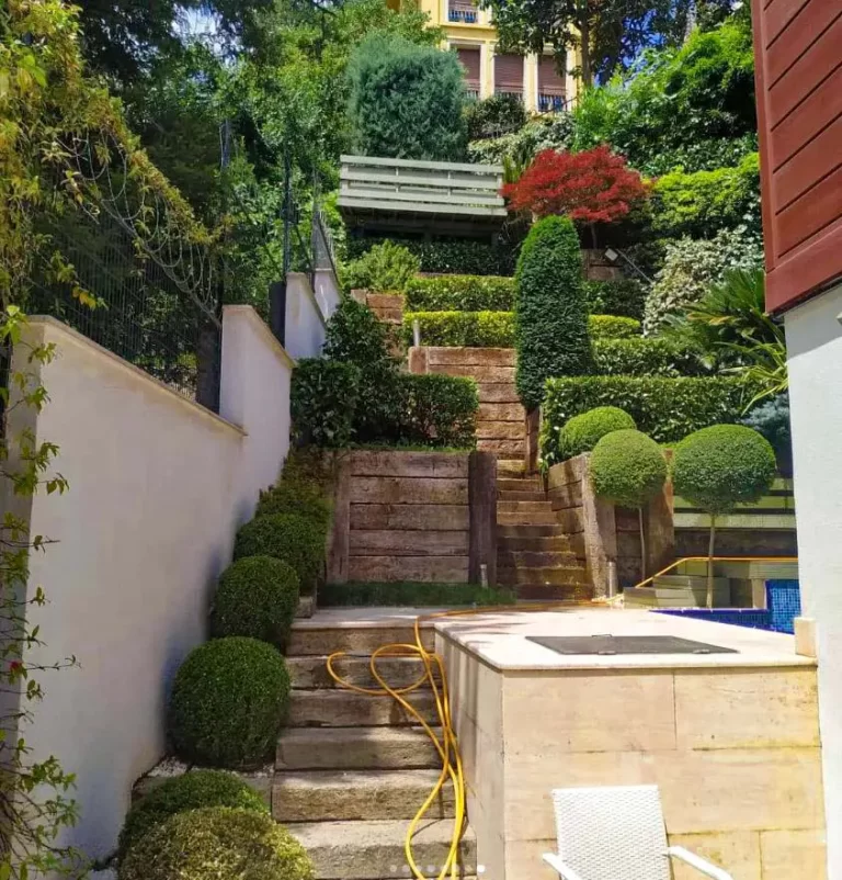 Bitkisel Uygulamalar - Saksı