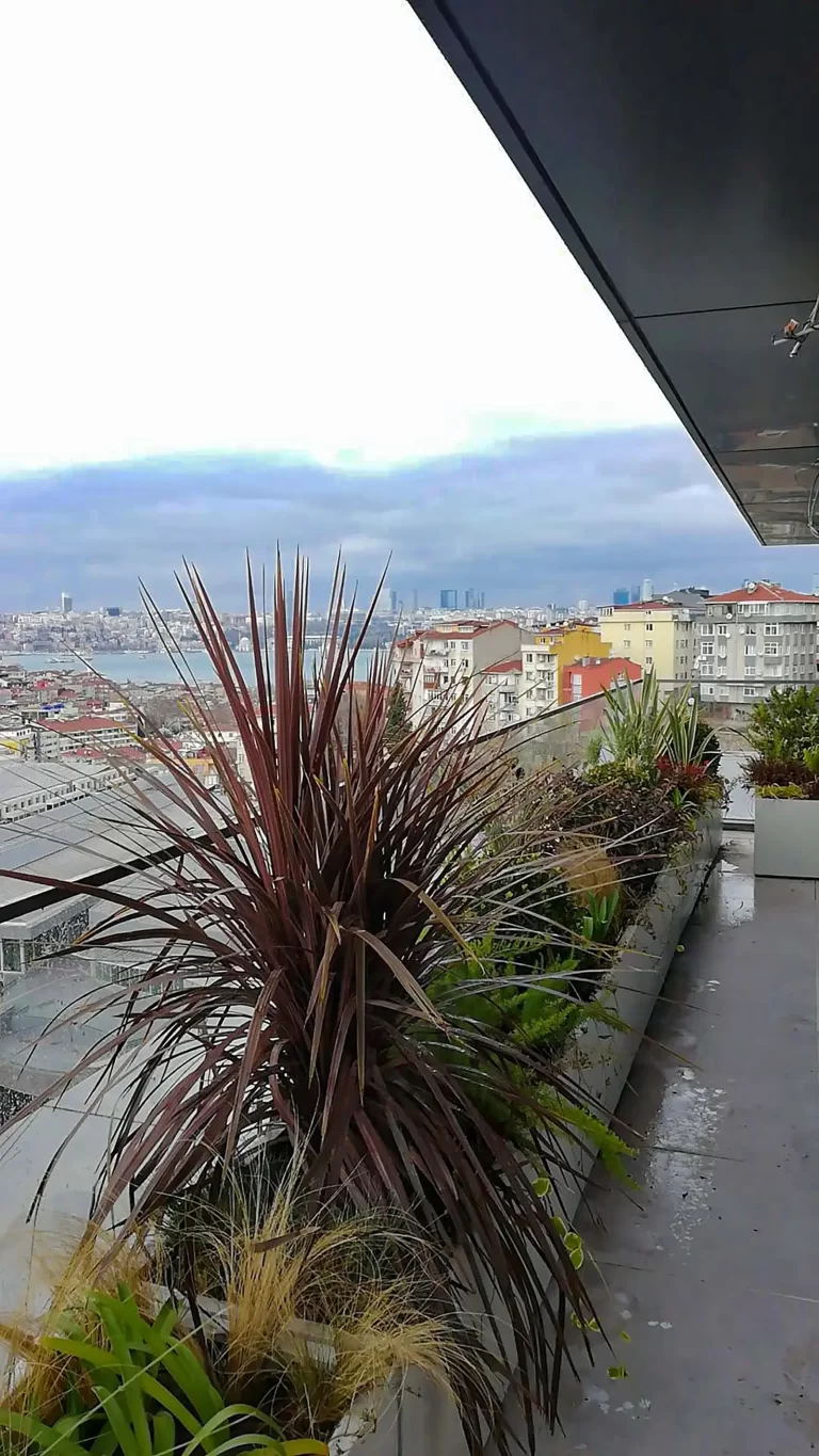 Nevçarşı Teras Uygulaması-5