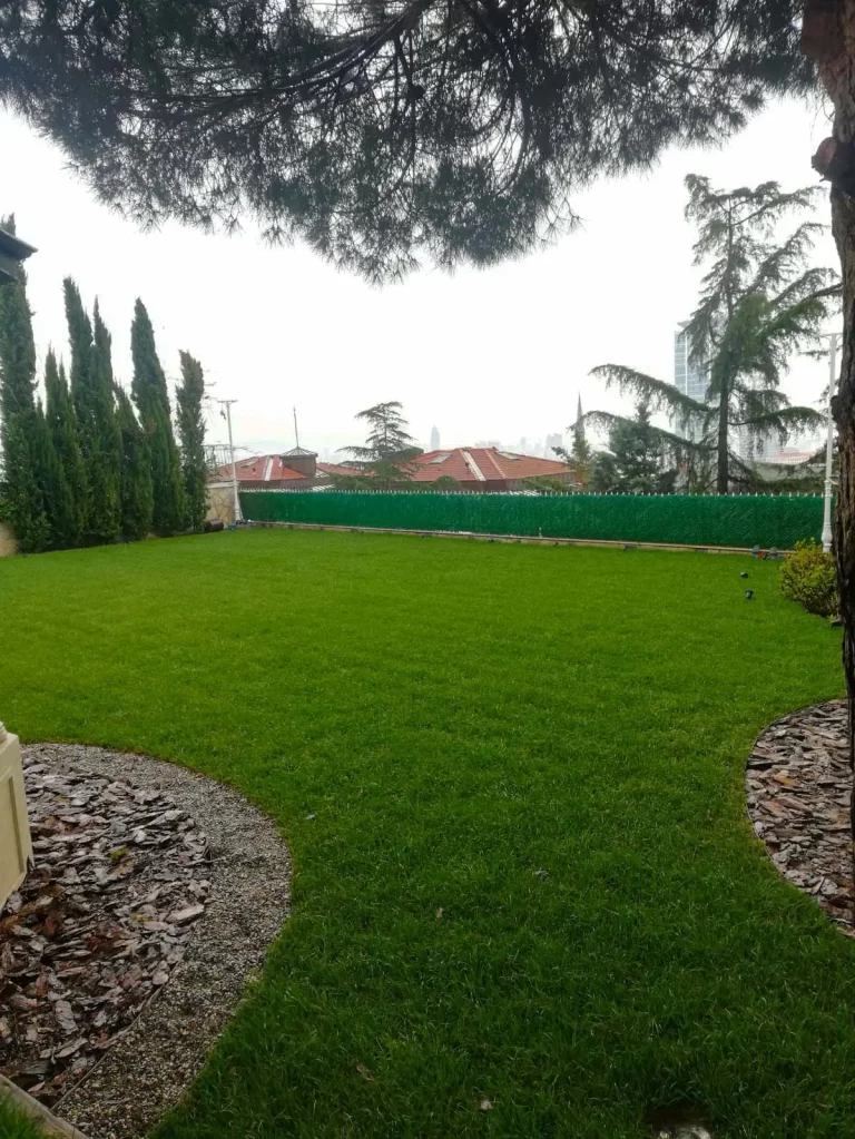 Sefure Davutoğlu villa - Çamlıca-4