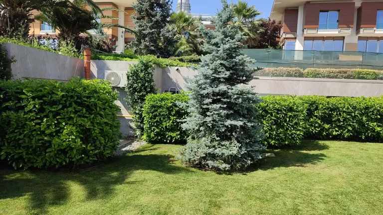 Yasa Villaları - 27 nolu villa-8